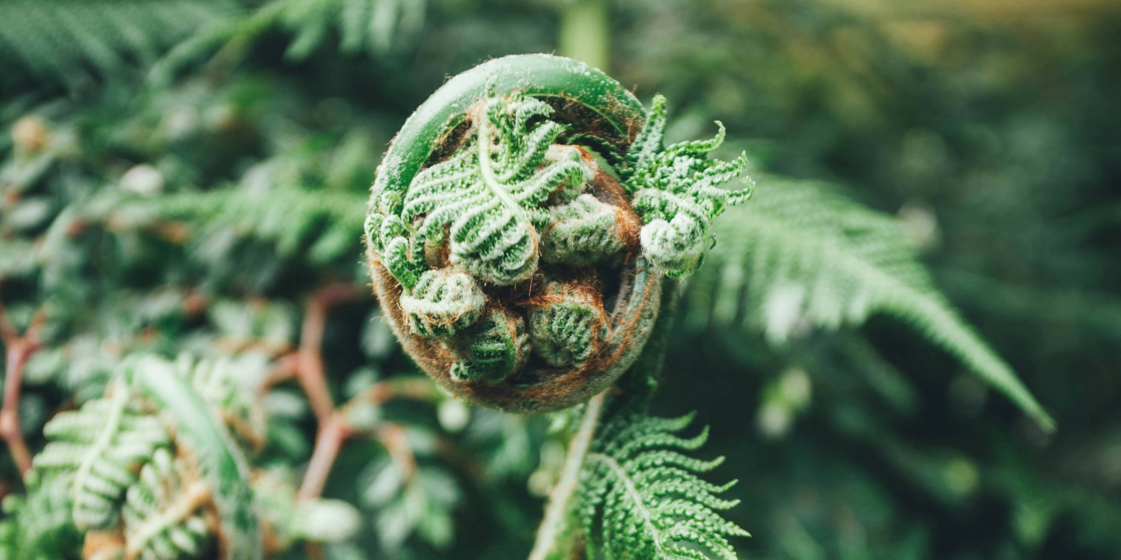 laureen-missaire-KrZXbI9Kspk-unsplash